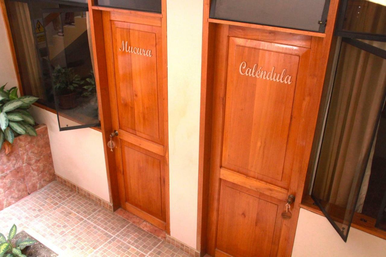 Zygo Bed & Breakfast Tarapoto Kültér fotó